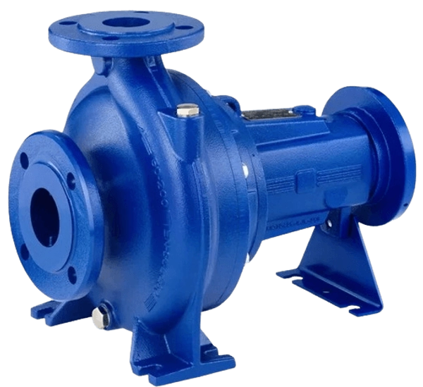 Uy 2 ishtirokchilari videoda jinsiy aloqada bolishadi